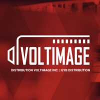 Voltimage logo - Similar company to Themis Core