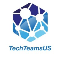 Tech Teams US logo - Similar company to Ergo Analytics