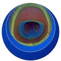 Pavonis Consulting logo - Similar company to Pavonis Consulting, Llc
