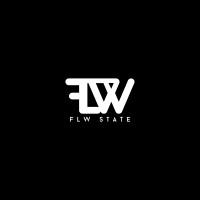 FLWSTATE MEDIA logo - Similar company to Ceylon Innovation Consortium Group