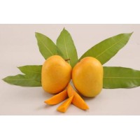 Aseptic Fruit Pulp logo - Similar company to Pacific Fruit