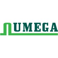 Numega Group logo - Similar company to Cikoste Indonesia