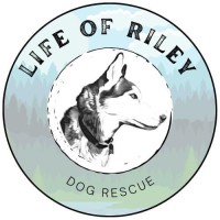 Life of Riley Dog Rescue logo - Similar company to Bailing Out Benji