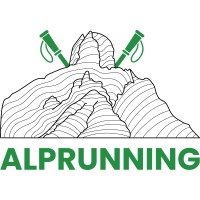Alprunning logo - Similar company to Patitucciphoto