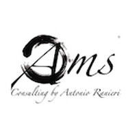 Ams Consulting di Antonio Ranieri logo - Similar company to Labor Studio Stp