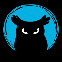Cleversan Games Sp. z o.o. logo - Similar company to Digital Night Studio