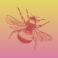 Mindful Beesss