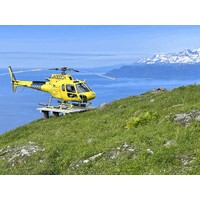Coastal Helicopters logo - Similar company to Vantage Solutions
