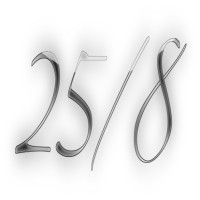 25/8 logo - Similar company to Formapp