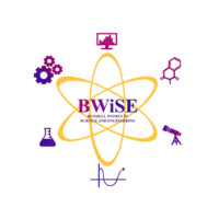 Bwise