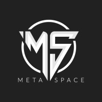 MetaSpace logo - Similar company to Excel Hr Services