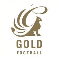 Gold Football logo - Similar company to Ctvision