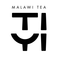 TIYI world logo - Similar company to Chinoh
