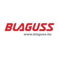 Blaguss Business Travel logo - Similar company to Elev802