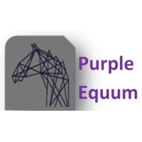 Purple Equum Limited logo - Similar company to Global Mobility Advisory