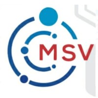 MSV YOUNG ENTREPRENEURS INDIA PVT LTD logo - Similar company to Dyna Air Systems & Services