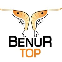 Benur TOP Group logo - Similar company to Benur Top Group