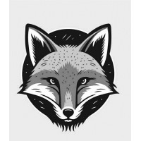 Gray Fox AB logo - Similar company to Paliscope