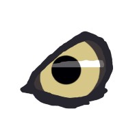 Wild Connect logo - Similar company to Big Lemon