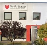 Formazione Studio Elvezia srl logo - Similar company to Formazione Network