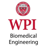WPI Biomedical Engineering Department logo - Similar company to Naval Special Warfare Orientation Course (Nswoc) - U.S. Naval Sea Cadet Corps