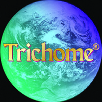 Trichome