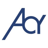Accellency logo - Similar company to Accellancy