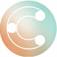 The Color Brand logo - Similar company to Precise Connections, Inc.