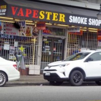 Vapester Smoke Shop logo - Similar company to All Day Vapes