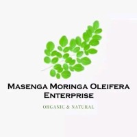 Masenga Moringa Oleifera Enterprise logo - Similar company to Moringa Nursery