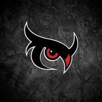 NightOwl Esports logo - Similar company to Cat Tutorials