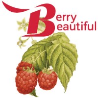 Berry Beautiful logo - Similar company to Leven Rose