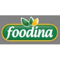 Foodina - Ismailia Food Industries logo - Similar company to El Shaheen Group