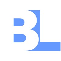 Brian Lee, Inc. logo - Similar company to Test Geek