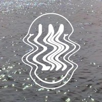 Liquid Memory logo - Similar company to Yodas