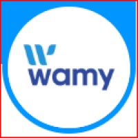 WAMY logo - Similar company to Wamy Technologies