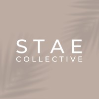 Stae logo - Similar company to Deceptiv Apparel