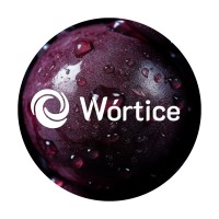Wórtice Energia logo - Similar company to Zanini