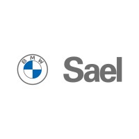 Sael BMW logo - Similar company to Traces Consultoria