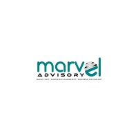 Marvel Advisory Group logo - Similar company to Virtually Managed