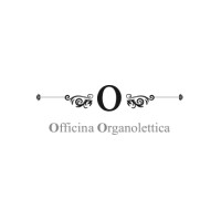 OFFICINA ORGANOLETTICA logo - Similar company to Dilettamisu