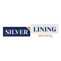 Silver Lining Advisory Company Limited logo - Similar company to Bukhalternative Advisory Company