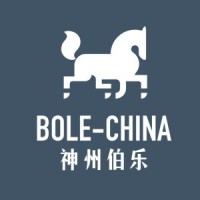 神州伯乐(北京)管理咨询有限公司 logo - Similar company to Bole-China神州伯乐
