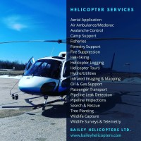 Bailey Helicopters Ltd. logo - Similar company to Access Helicopters
