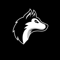 Husky Volleyball Club, LLC logo - Similar company to Veterans Of Foreign Wars (Vfw) Post 8790