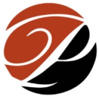 PALADIN CLOUD SYSTEMS LIMITED logo - Similar company to Dynamic Mobility Technology Ltd