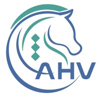 Arabian Horses Veterinary Co. (AHV) logo - Similar company to Rh Ranch 🐎