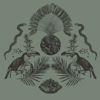 Sacred Society logo - Similar company to Levels Media