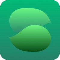 Seonity logo - Similar company to Debexpert