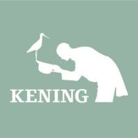 Kening logo - Similar company to Projects Amsterdam B.V.